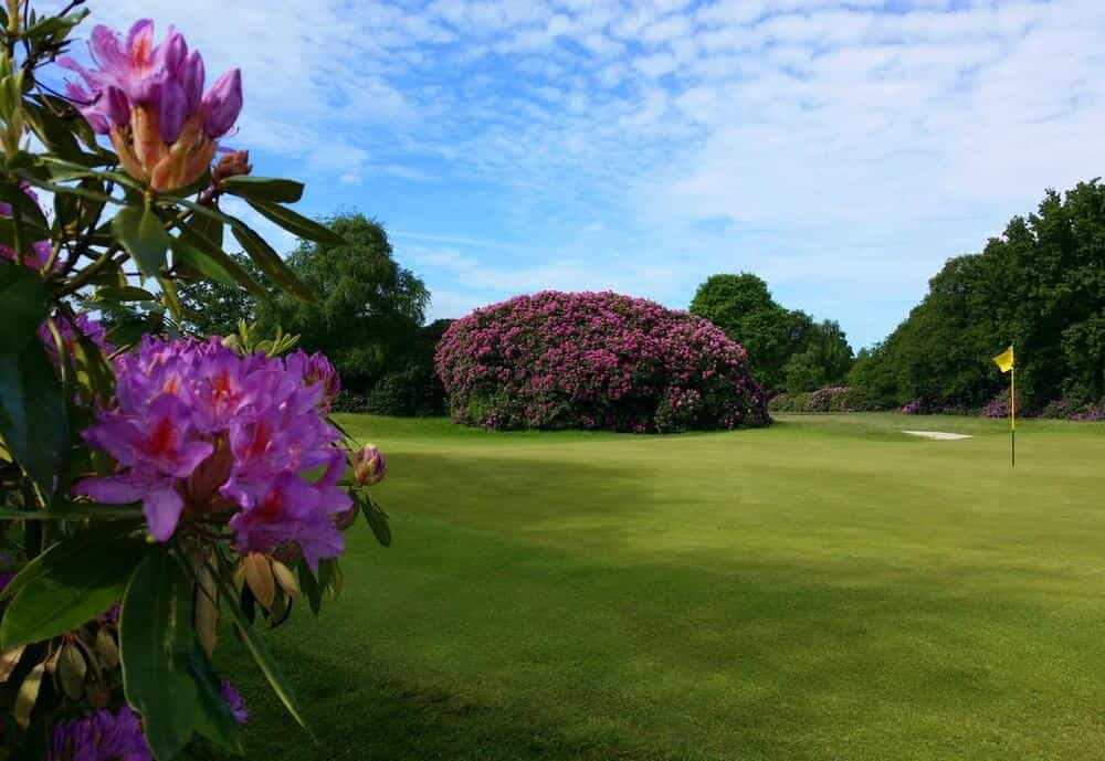 The Dorset Golf & Country Club Resort