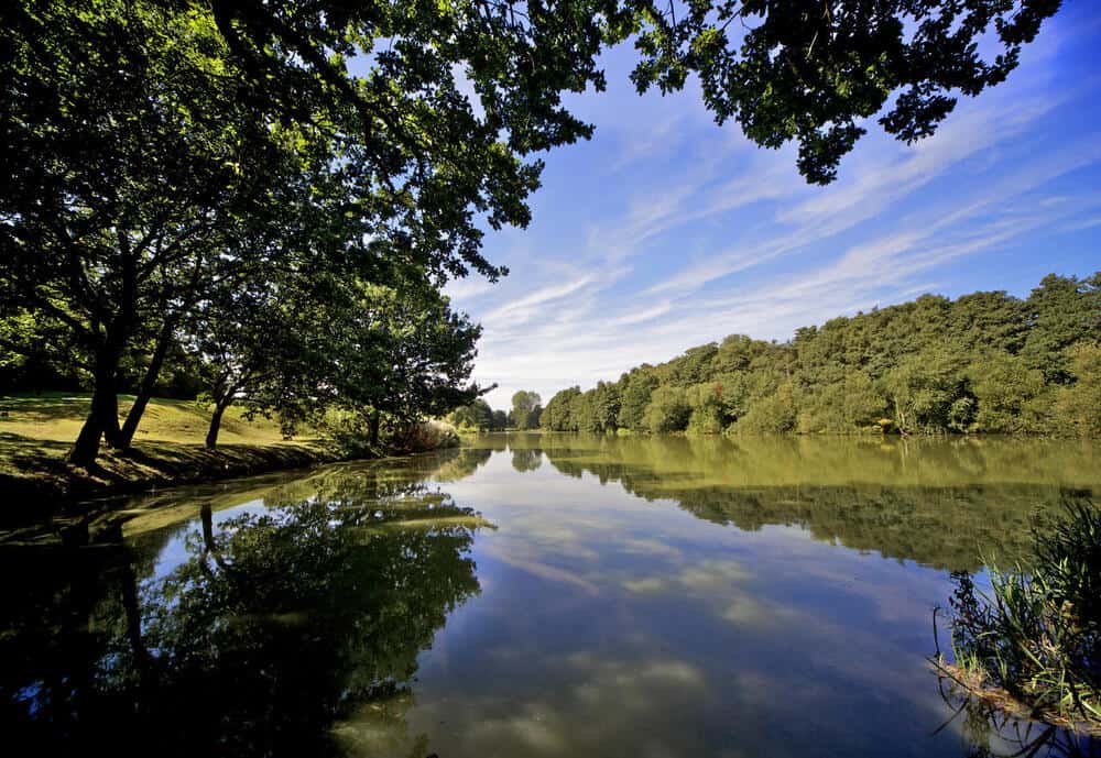 Stoke By Nayland Golf