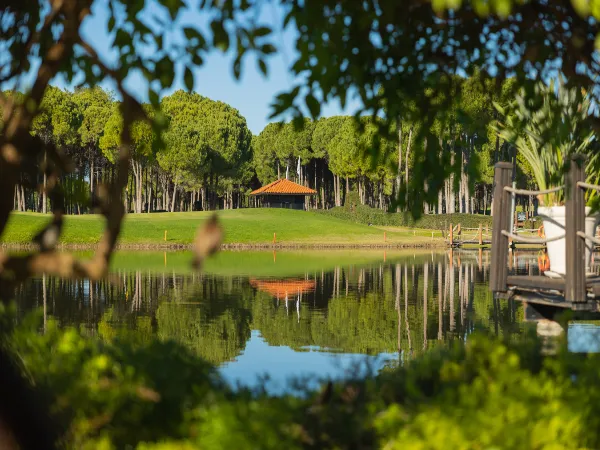 Sueno Dunes Golf Course 600