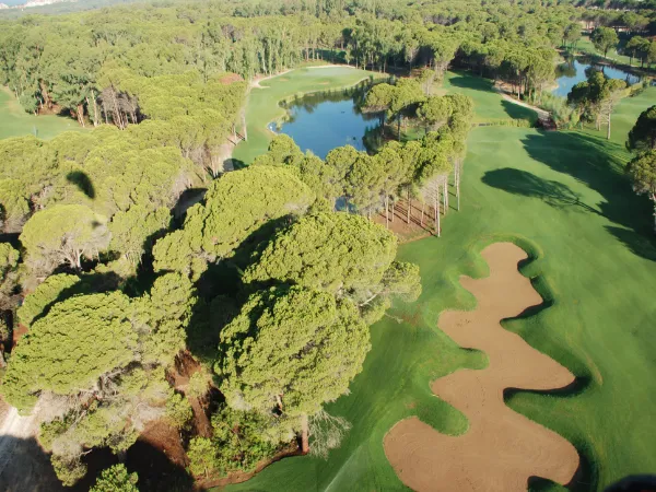 Sueno Pines Golf Course 600