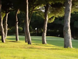 Pinhal Vilamoura Golf Course