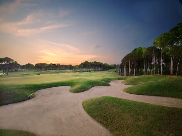 Sueno Pines Golf Course 600
