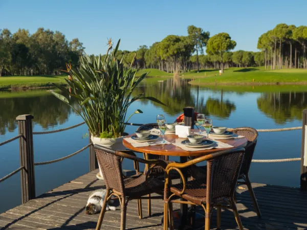 Sueno Golf Club 600