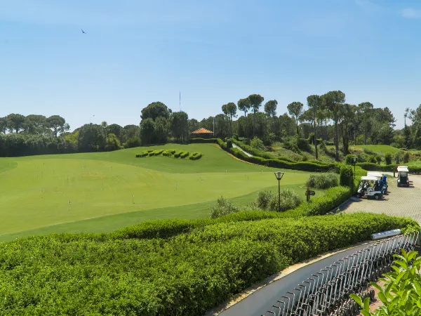 Sueno Pines Golf Course 600