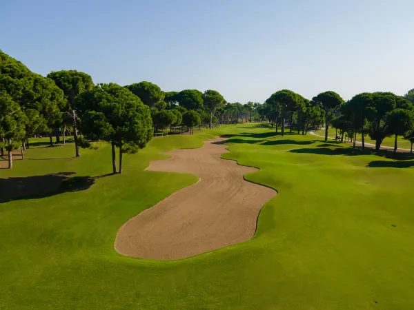 Sueno Pines Golf Course 600