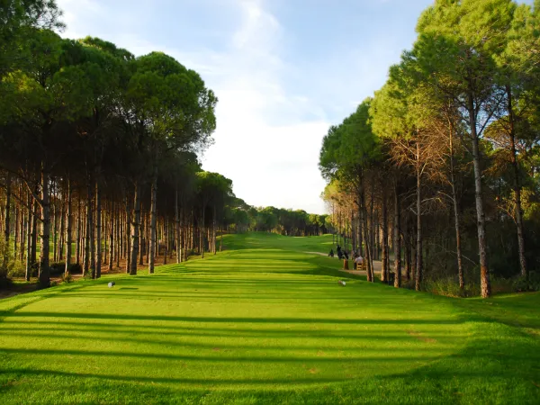 Sueno Dunes Golf Course 600