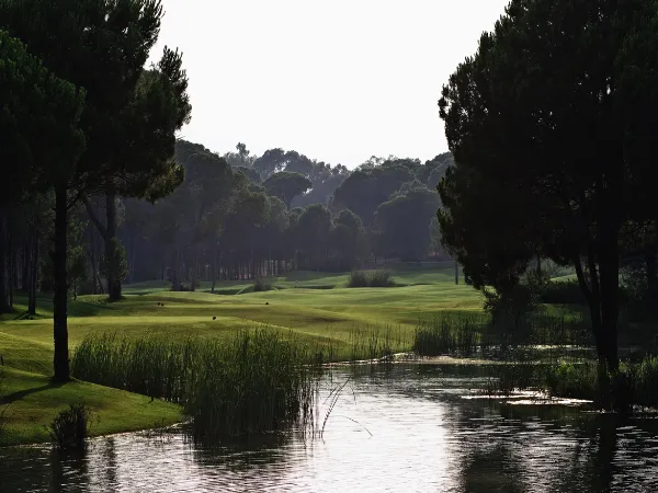 Sueno Pines Golf Course 600
