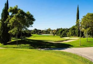 Alferini Golf