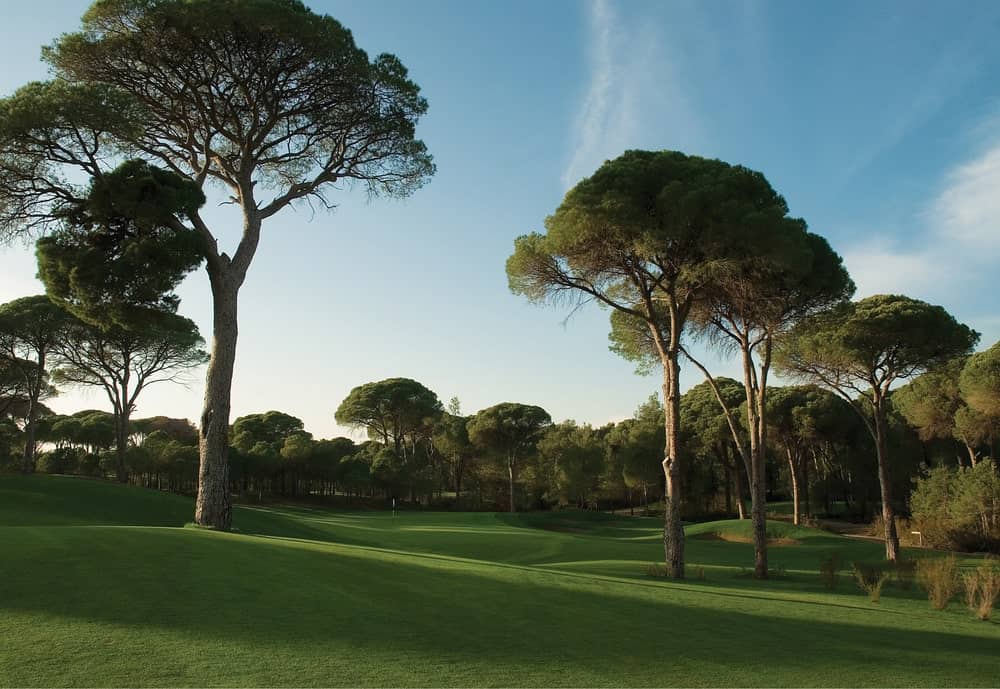 Cornelia Faldo Golf Course