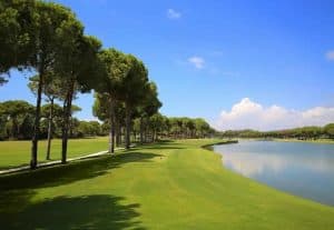 Gloria Verde GC