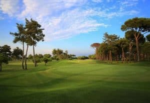 Gloria Verde GC