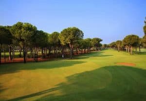 Gloria Verde GC