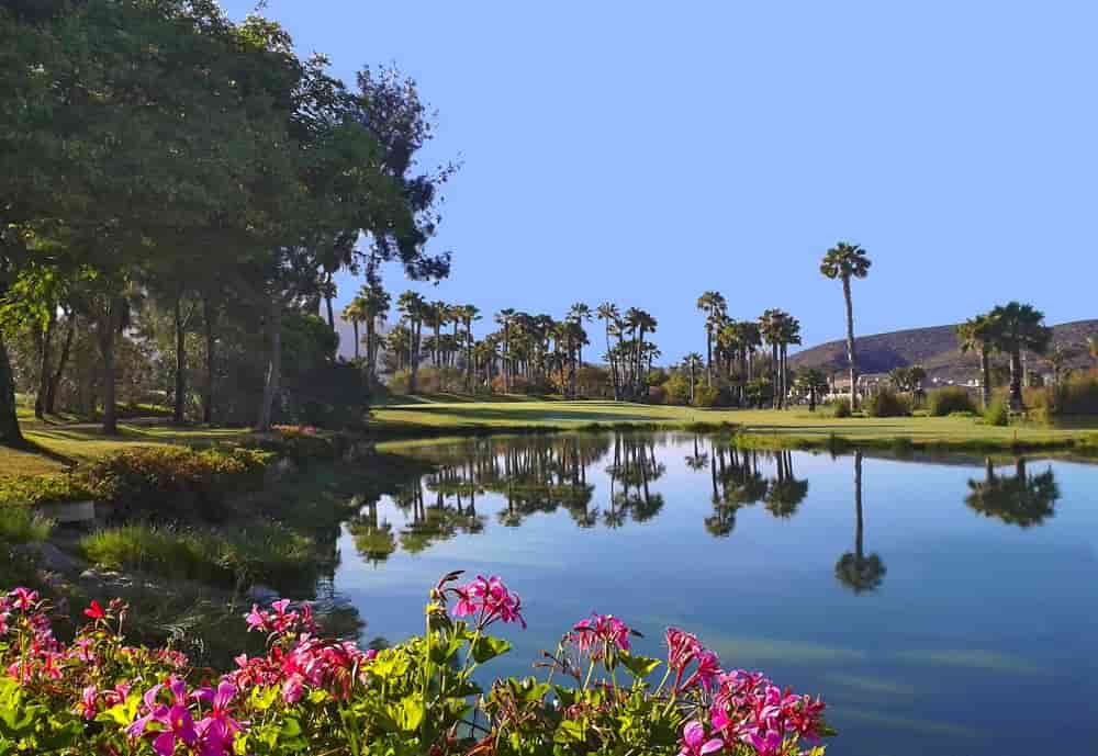Golf Las Americas