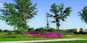 Montado Golf resort