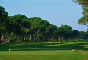 Nobilis GC