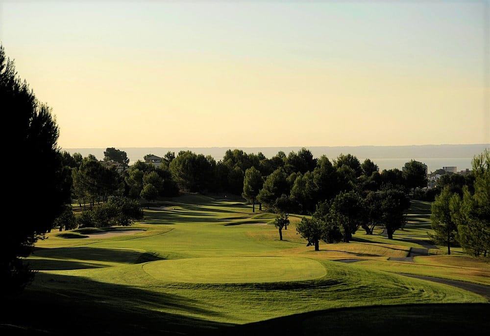 Sheraton Mallorca Arabella Golf Hotel