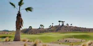 Saurines de la torre golf course palm tree view