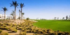 Saurines de la Torre GC