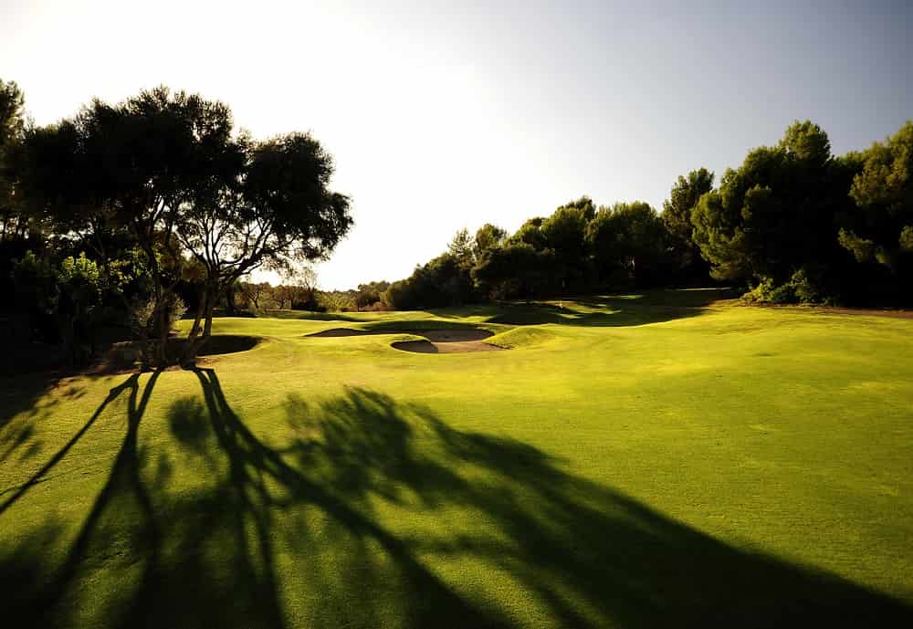 Son Muntaner GC