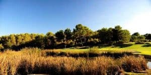 Son Muntaner GC