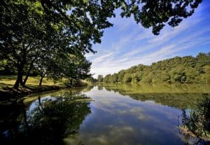 Stoke By Nayland Golf