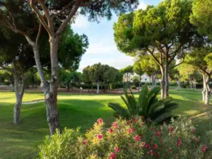 Pinhal Vilamoura Golf Course