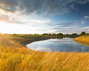The Oxfordshire Golf Club