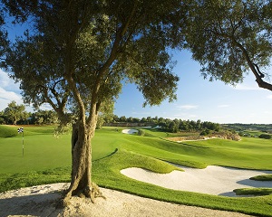 Amendoeira Faldo Golf Course