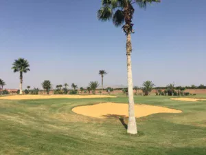 PalmGolf Marrakech Palmeraie Golf Course