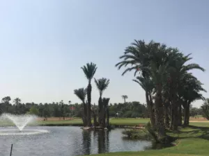PalmGolf Marrakech Palmeraie Golf Course