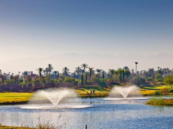 Pickalbatross Hotel Du Golf