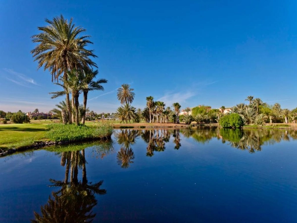 Pickalbatross Hotel Du Golf